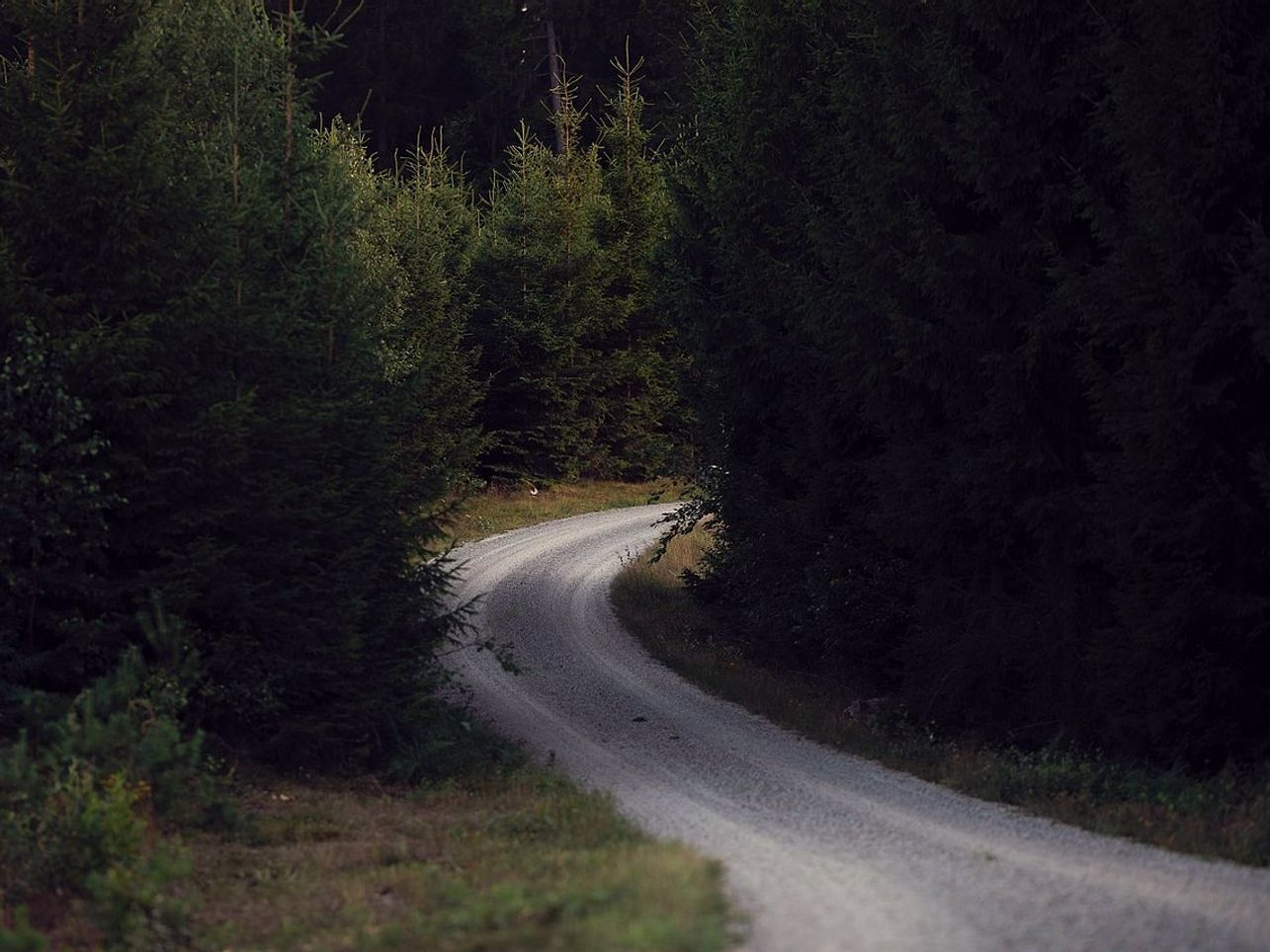 Viaggio enogastronomico rurale